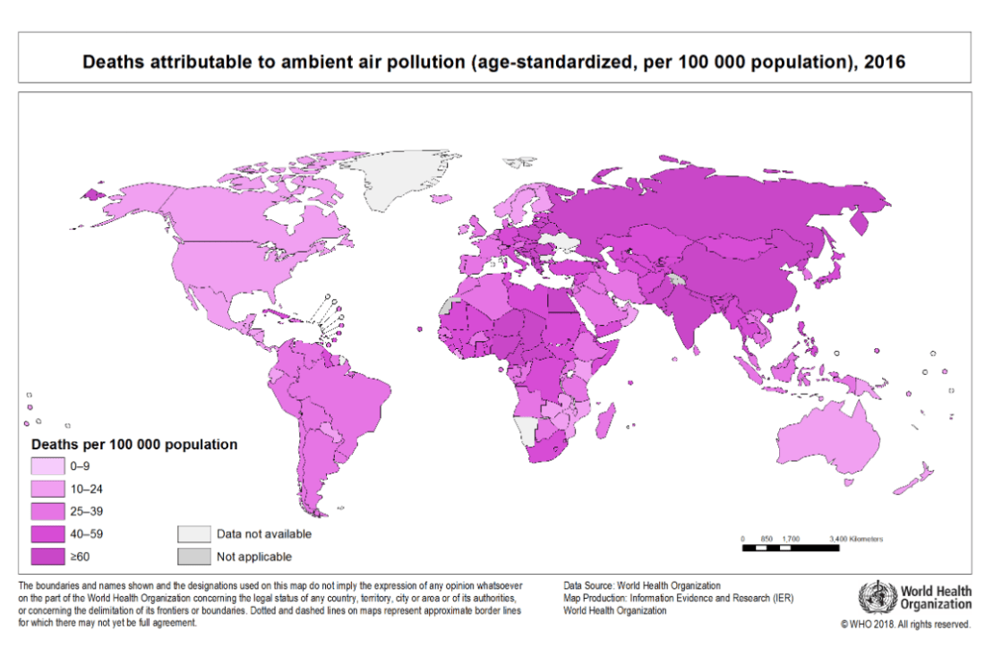 Screen Shot 2018-11-19 at 12.29.31 PM